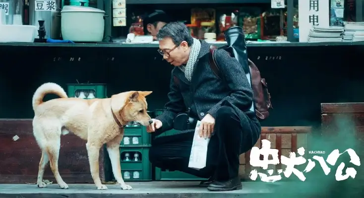 腾讯视频台湾不能看指南